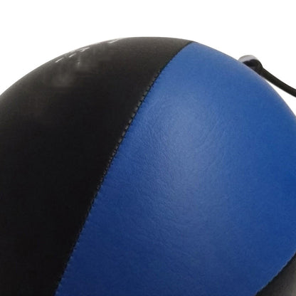 Ballon de boxe professionnel