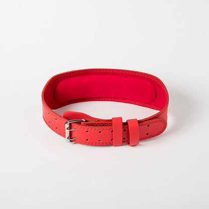 Ceinture de fitness pour squats et exercices de fitness, soutien de la taille